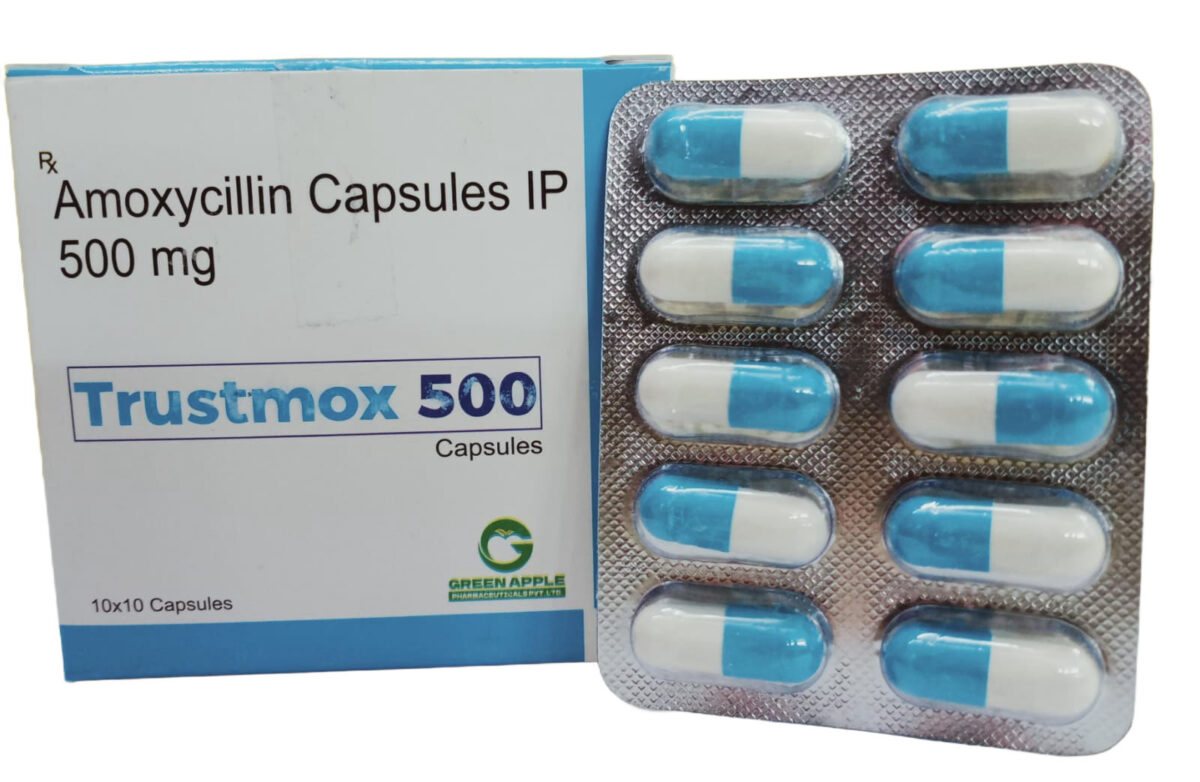 WhatsApp Image 2026-..._imresizer (2) WhatsApp Image 2026-..._imresizer (2)